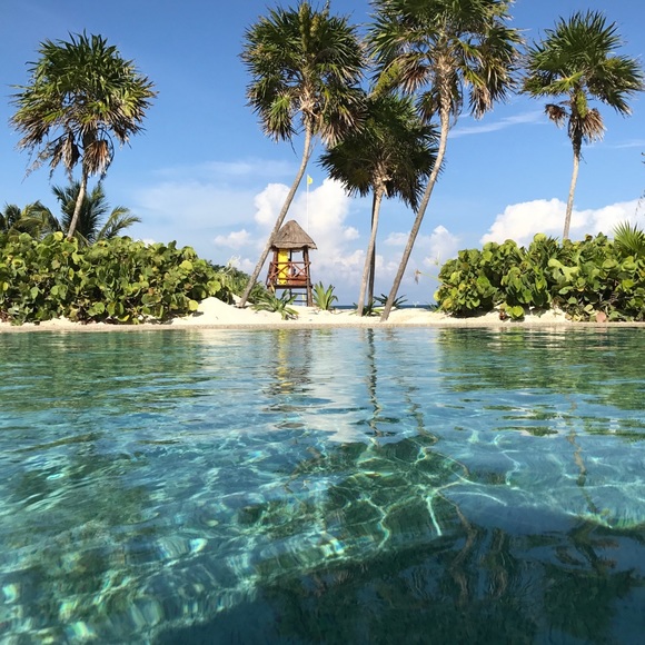 Meet your Posher, Megan - Picture 2 of 2